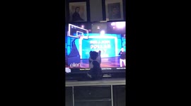 Cat playing defense on Ellen