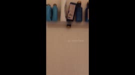 Just trying to shower and I look up and see my cat