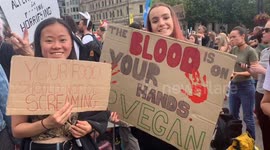 Vegan activists Animal Rebellion stage protests in London’s Trafalgar Square