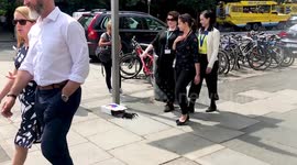 Web of deception: Prankster freaks out pedestrians in Ireland with fake giant SPIDER