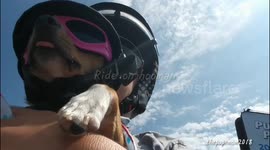 Ride on ride on hooman