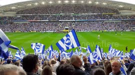 Brighton and Hove Albion Fans