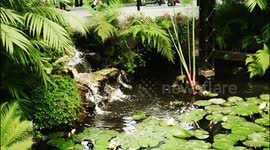 cosmovitral, japanesegarden, paradise in the city