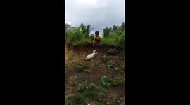 Determined duck retrieves boy's shoe and gives it back to him