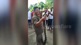 15-feet-python rescued from village in south-east India