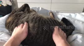 Different Kind of Foot Massage