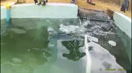 Whisper update video.