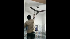 Indian man finds snake coiled on his bathroom ceiling fan