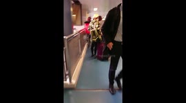 Chihuahua In Backpack Carrier