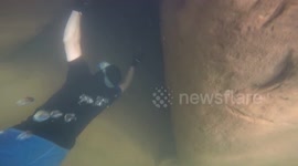 National Park Sea Cave Snorkeling