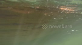 Superior Snorkeling Underwater Caves