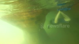GoPro Snorkeling Cold Lake Superior Sea Caves