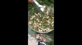 The group of Vietnamese people eats the live bamboo worm