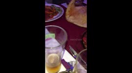 We went for a curry and ordered a family Naan. It was the size of my actual Nan.