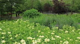 butterfly sanctuary