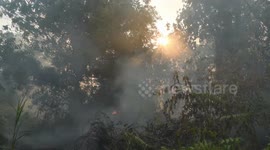 Indonesia Environment Pollution