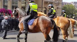 Anti facist opposition at free tommy robinson