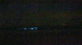 Man taking walk on beach in Wales captures bioluminescent waves
