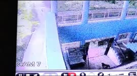 Terrfiying Moment as school staff is attacked by monkeys in Northern India.