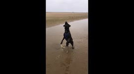 I wasn’t ready for Monday. A Labrador tries to catch a shell