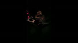 Homeless dog get in my car and get aggressive