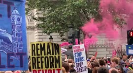 Anti-Brexit protesters cheer as colourful smoke flare is let off outside Downing Street