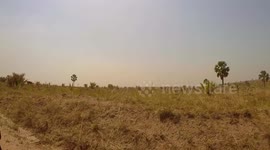 Go-pro footage of wild buffalo charging car on self-drive safari in Uganda