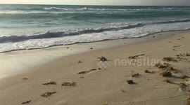 Waves on the beach with sound