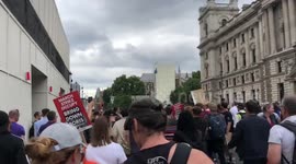 More incredible Brexit protest footage