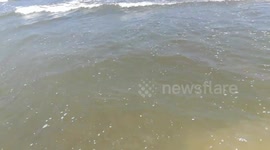 Amazing Summer Beach In Ras El Bar