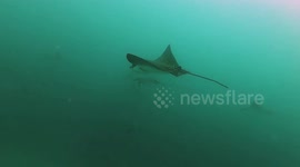Rare!! Flora & Fauna on Galapagos Islands