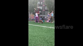 Downward dog! US pup joins in with couples' yoga class