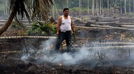 Farmer's areca nut plantations burn down during Indonesian drought