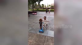 Plucky poodle steals scooter from toddler - and rides away