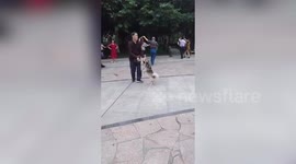 Elderly Chinese man ballroom dances with his dog