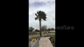 Hurricane Dorian being felt in West Melbourne, FL