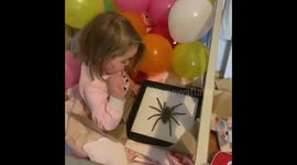Aussie toddler has unexpected reaction when gifted framed tarantula for her birthday