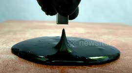 Magnetic slime swallows magnets whole
