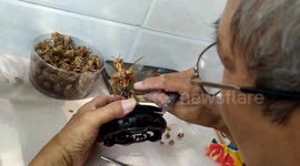 Chinese artist makes incredible cartoon-like sculptures using cicada shells
