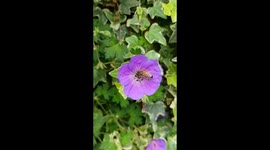 Nature at its best