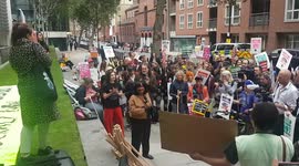 Labour's Diane Abbott addresses anti-Brexit protesters outside the Home Office