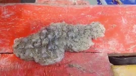 Mystery 'blob-like' sea creature caught by fisherman in the Gulf of Thailand