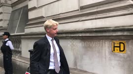 Boris Johnson's brother Jo resigns from government