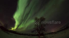 Northern lights dance in the sky