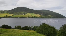 Loch Ness Monster may be giant eel after scientists analyse DNA from waters of Loch Ness