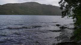 Loch Ness Monster may be giant eel after scientists analyse DNA from waters of Loch Ness
