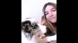 Dog is shocked when she gets licked back