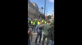 Pro-Brexit protesters clash with police in central London