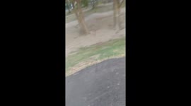 WCMX Run EPIC WIPEOUT into grass