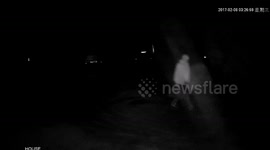 CCTV shows burglar stealing power tools in rural English crime
